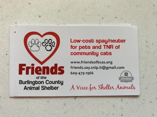 Friends of the Burlington County Animal Shelter - Delanco Township, New  Jersey