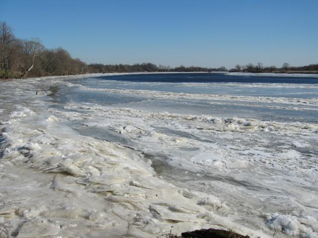 Looking Down the Rancocas